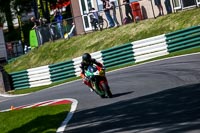 cadwell-no-limits-trackday;cadwell-park;cadwell-park-photographs;cadwell-trackday-photographs;enduro-digital-images;event-digital-images;eventdigitalimages;no-limits-trackdays;peter-wileman-photography;racing-digital-images;trackday-digital-images;trackday-photos